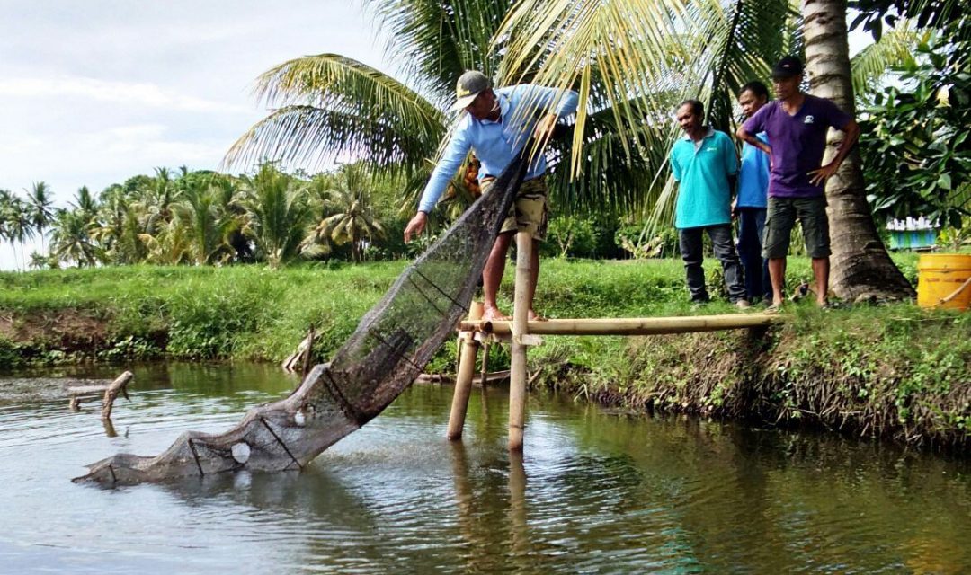 FIELD-Sekolah-Lapang-Tambak-di-desa-Kanaungan-1080x640