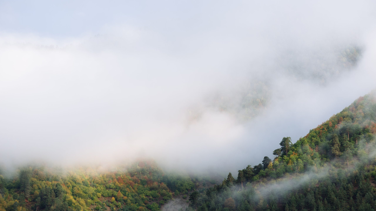 Fog in the mountains. Autumn landscape with woods on the hills. Zemo Svaneti, Georgia