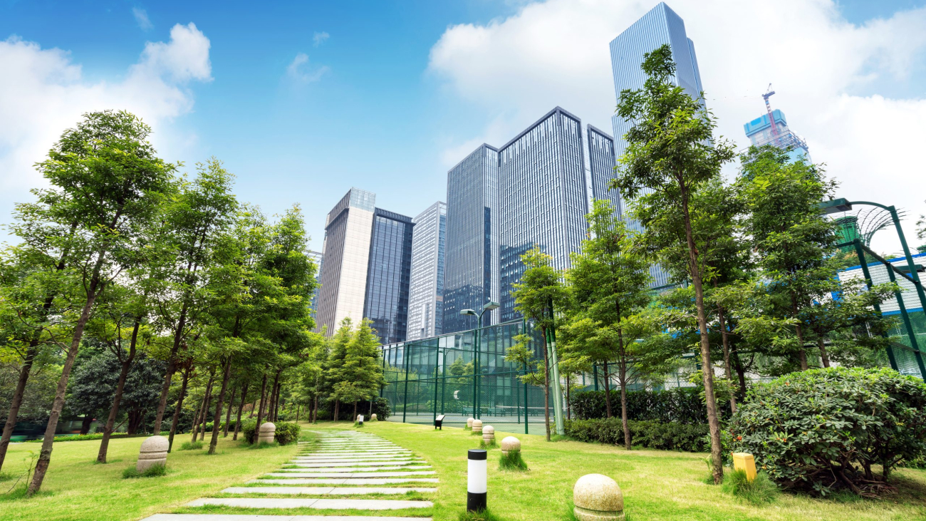 Lawn and dense modern buildings, Chongqing, China.